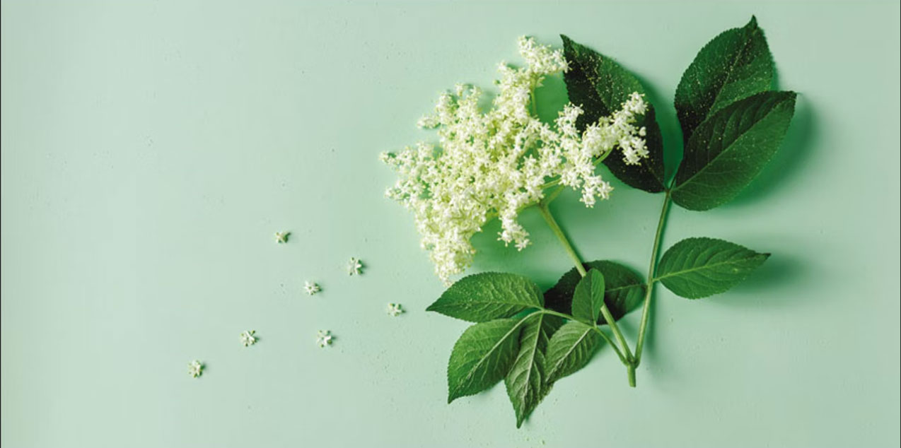 香精與香料(19)-香精的分類、配制與調(diào)和