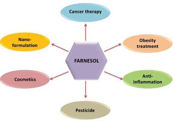 香精與香料(45)—金合歡醛、醇與金合歡油