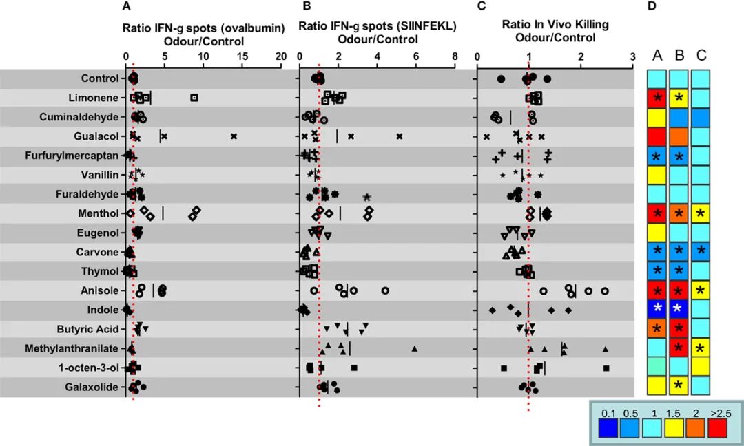 香精與香料(47)—香芹酮與葛縷子、留蘭香、蒔蘿