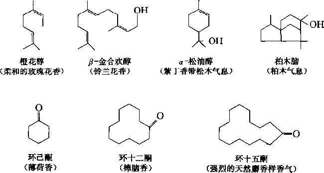 香水的香氣從何而來？