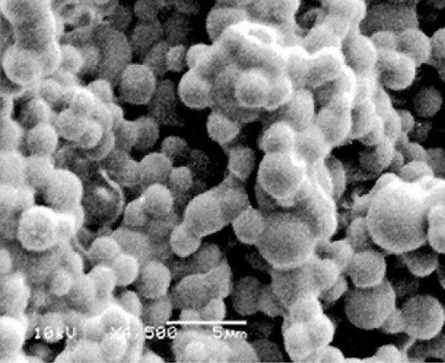 香水的香氣從何而來？