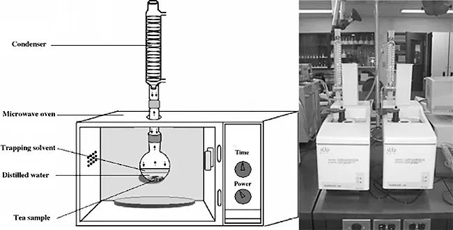 香水的香氣從何而來？