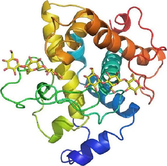 香水的香氣從何而來？