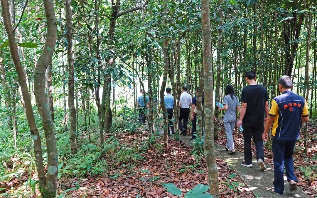 廣西香料香精:謀篇布局創(chuàng)“雙千”