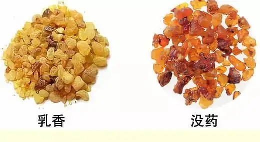 乳香，Boswellia Carterri Birdw 橄欖科