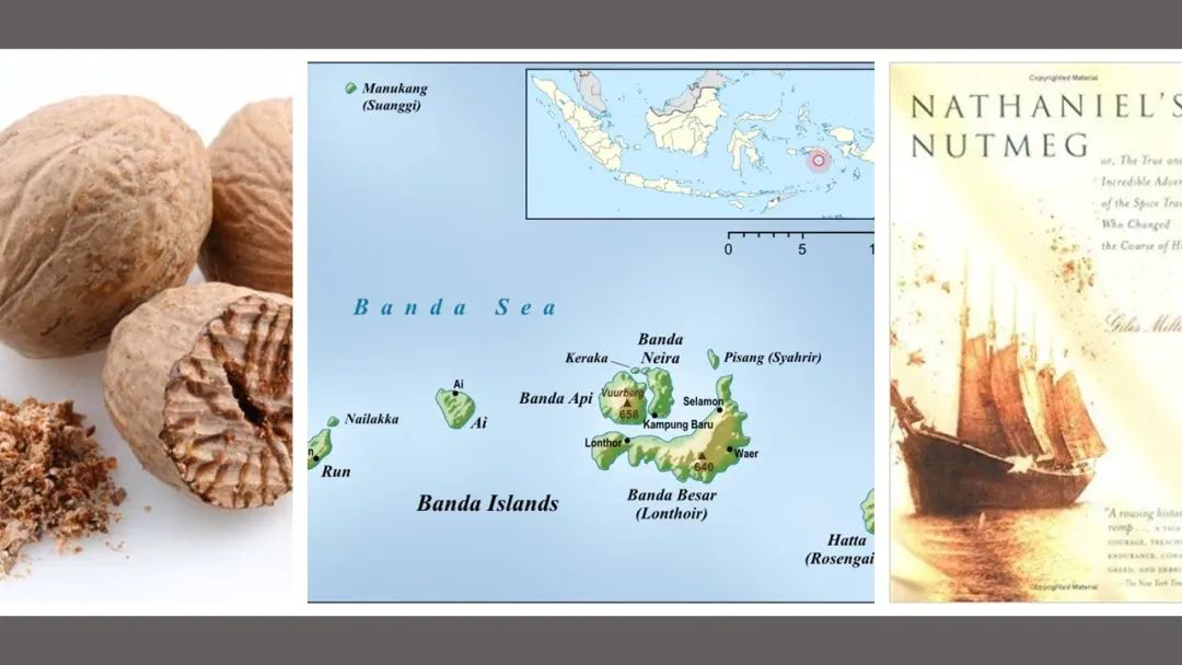 香精與香料(152)—豆蔻 香精與香料(152)—豆蔻