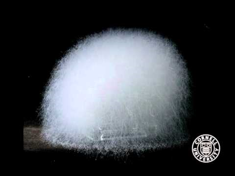 農(nóng)業(yè)廢物作為微生物香精生產(chǎn)基質(zhì)的潛力研究 農(nóng)業(yè)廢物作為微生物香精生產(chǎn)基質(zhì)的潛力研究