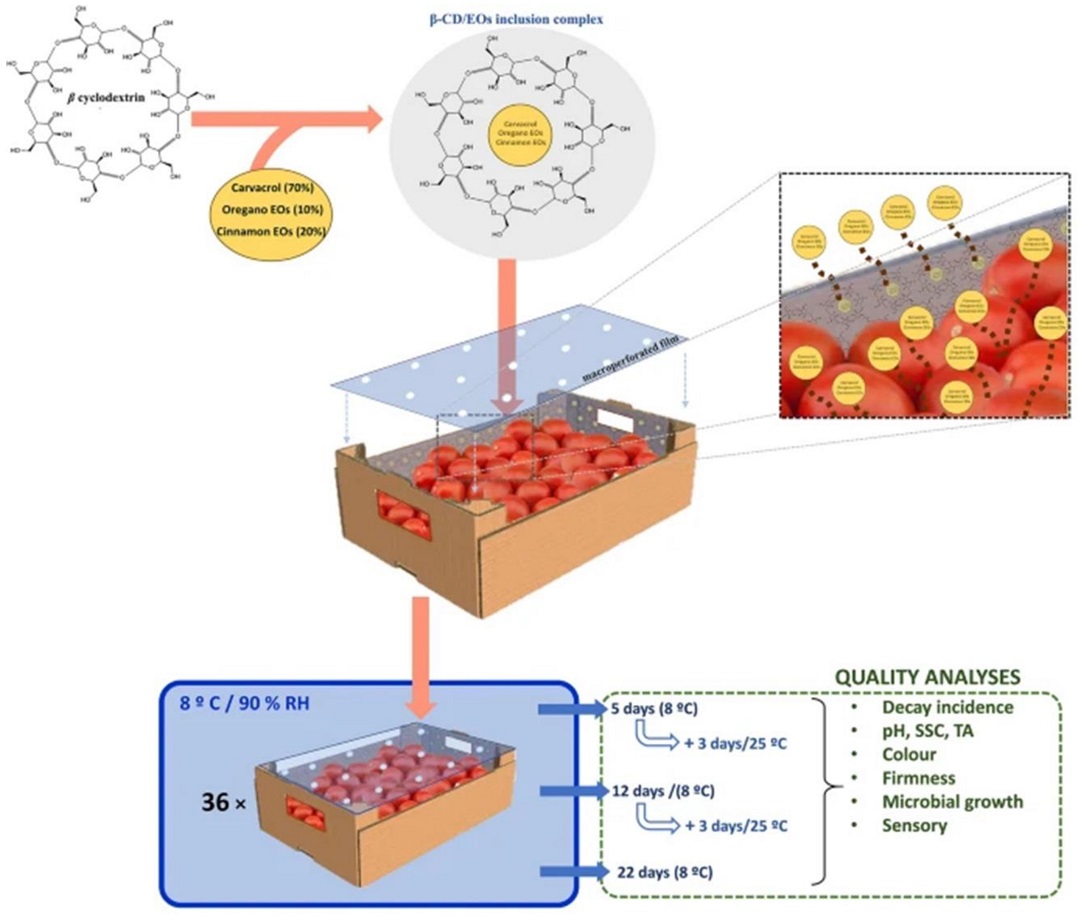 香精在聚合膠囊和環(huán)糊精包合物中的包埋:最新進(jìn)展(中)
