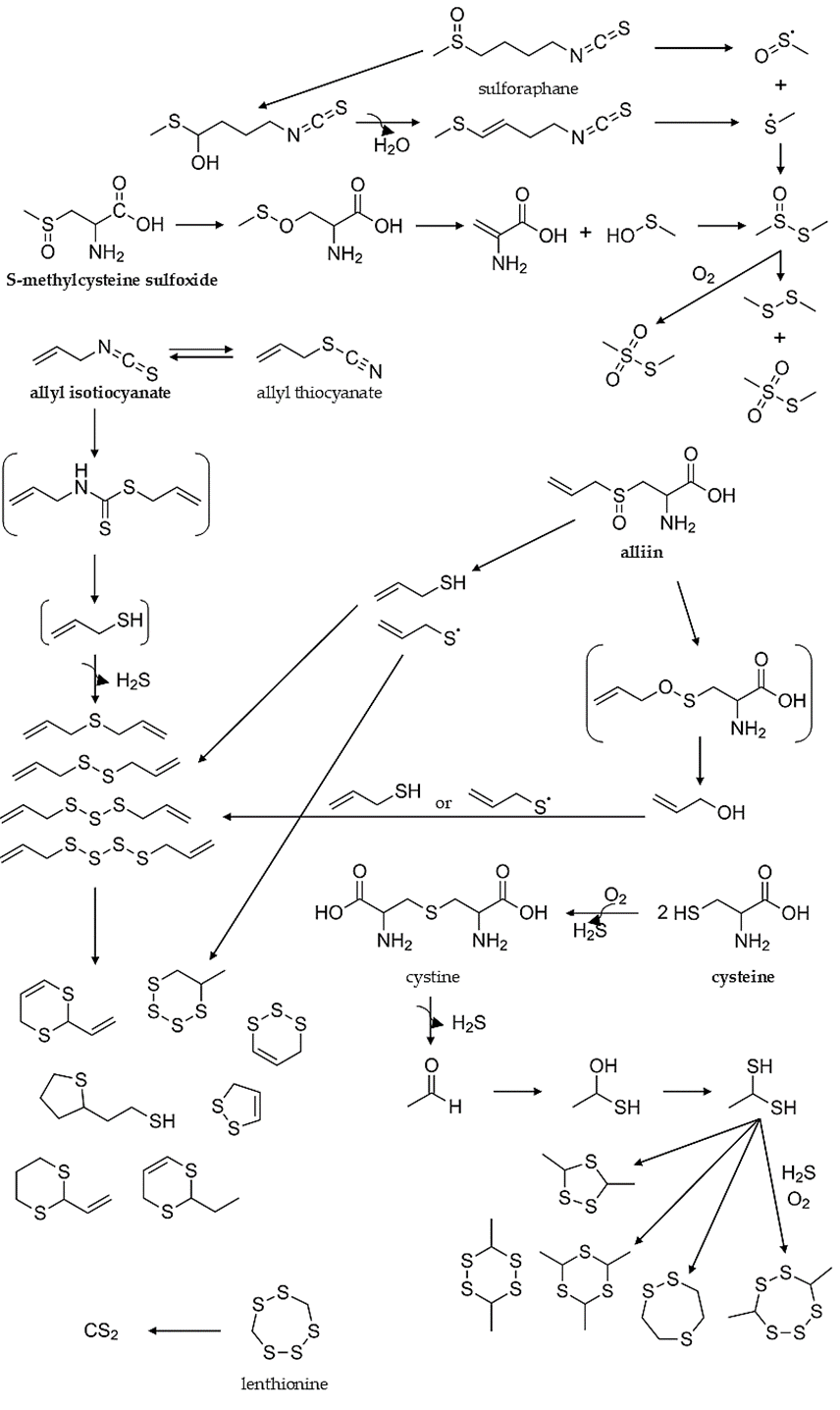 調(diào)香筆記(6)——硫化物在蔬菜和蘑菇香氣中的作用 調(diào)香筆記(6)——硫化物在蔬菜和蘑菇香氣中的作用