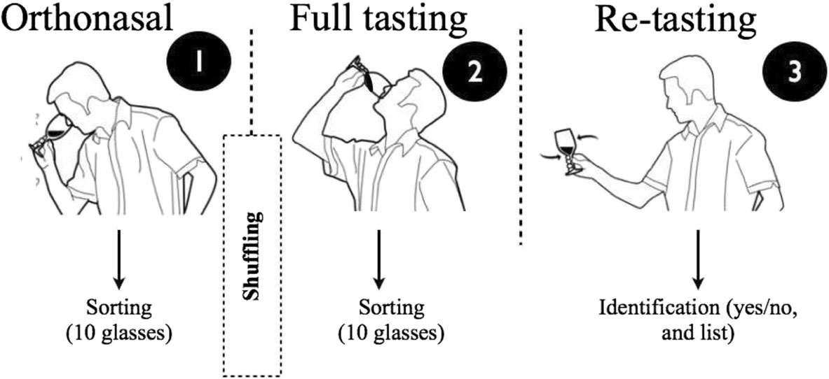 調(diào)香筆記(9)——多感官味覺(jué)感知:感官內(nèi)部和感官之間的調(diào)和、混合、融合和配對(duì)
