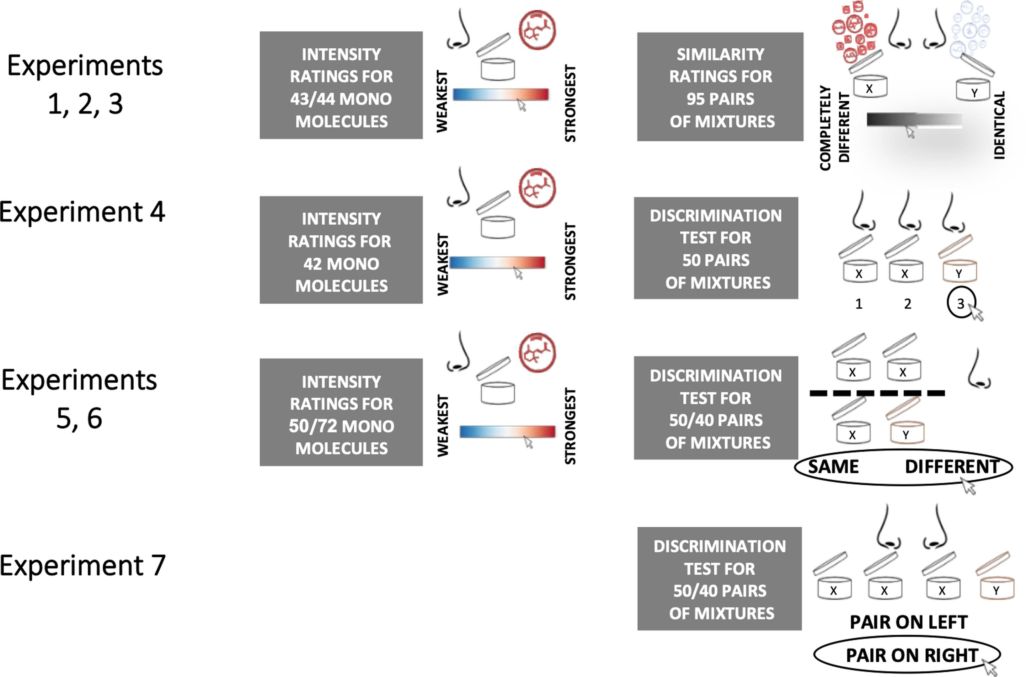 調(diào)香筆記(9)——多感官味覺(jué)感知:感官內(nèi)部和感官之間的調(diào)和、混合、融合和配對(duì)