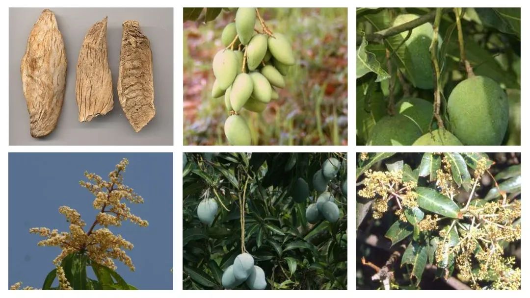 世界地理香料索引(4)—World Geographic Spice Index (4) 世界地理香料索引(4)—World Geographic Spice Index (4)