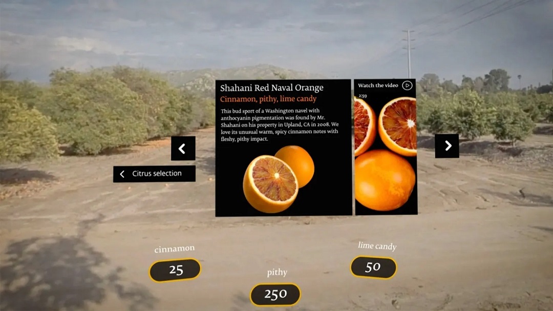 虛擬現(xiàn)實(shí)商業(yè)-奇華頓虛擬口味旅行?柑橘-把風(fēng)味創(chuàng)造到下一個水平 虛擬現(xiàn)實(shí)商業(yè)-奇華頓虛擬口味旅行?柑橘-把風(fēng)味創(chuàng)造到下一個水平