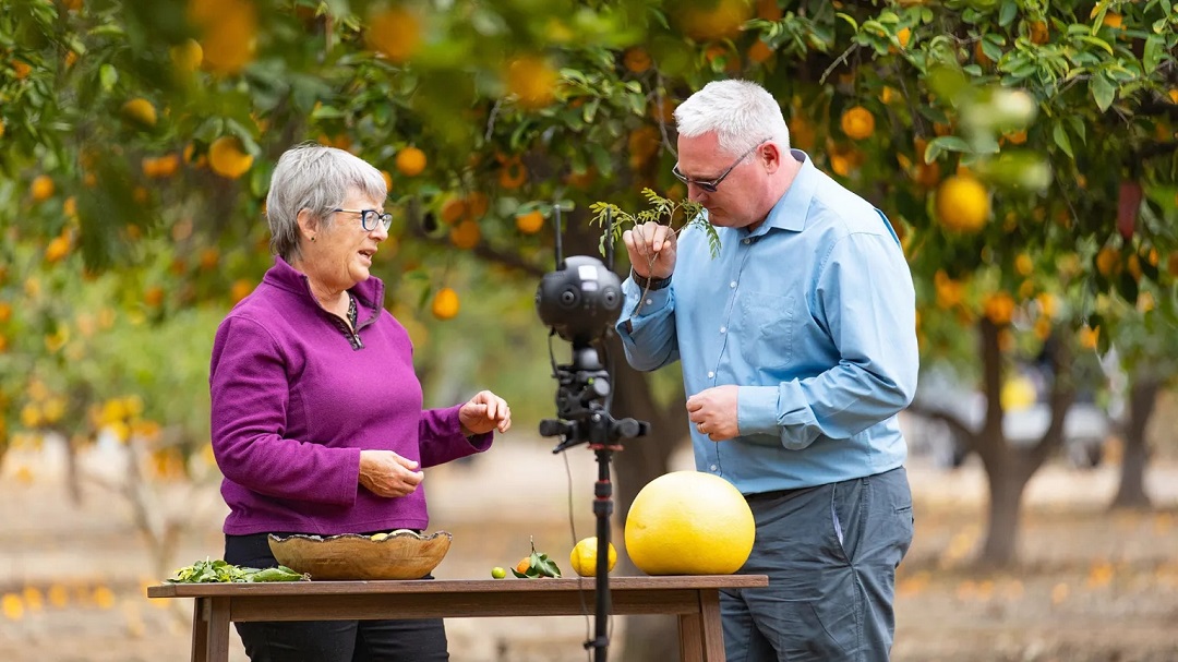 虛擬現(xiàn)實(shí)商業(yè)-奇華頓虛擬口味旅行?柑橘-把風(fēng)味創(chuàng)造到下一個水平 虛擬現(xiàn)實(shí)商業(yè)-奇華頓虛擬口味旅行?柑橘-把風(fēng)味創(chuàng)造到下一個水平