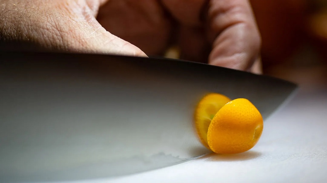 虛擬現(xiàn)實(shí)商業(yè)-奇華頓虛擬口味旅行?柑橘-把風(fēng)味創(chuàng)造到下一個水平 虛擬現(xiàn)實(shí)商業(yè)-奇華頓虛擬口味旅行?柑橘-把風(fēng)味創(chuàng)造到下一個水平