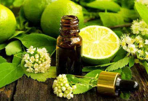 混合臭味與芳香：吲哚之迷