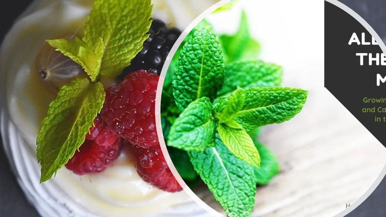 各大香精公司2023年風(fēng)味預(yù)測(cè)