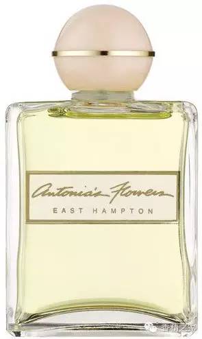 小蒼蘭:鮮花初長成 小蒼蘭:鮮花初長成