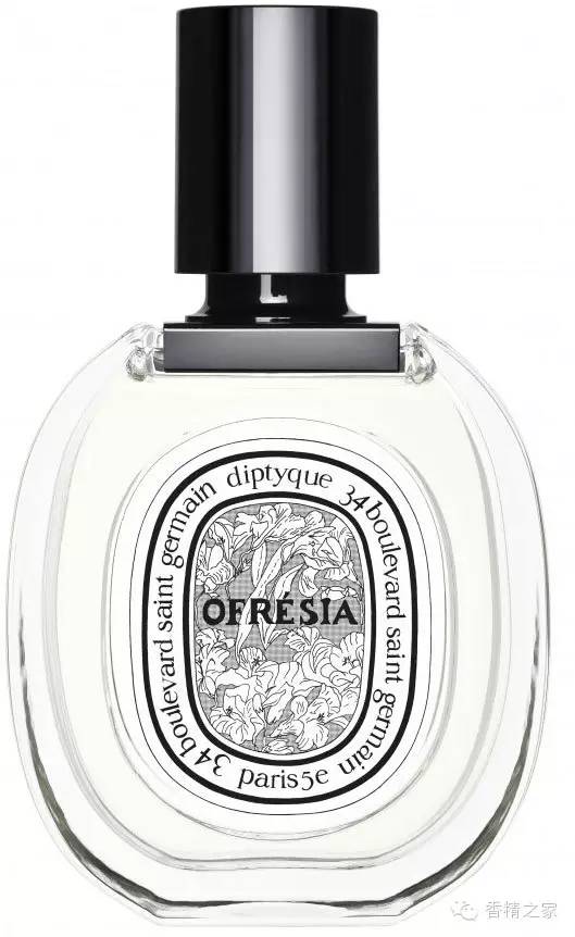 小蒼蘭:鮮花初長成 小蒼蘭:鮮花初長成