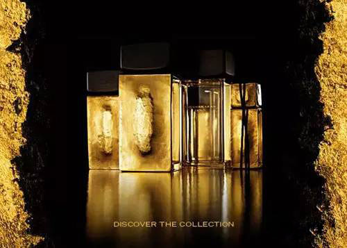 琥珀——凝結(jié)的陽(yáng)光