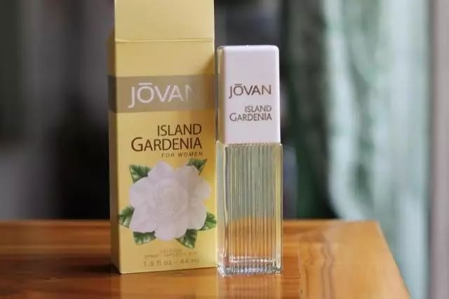 梔子花|4月過半，純白季即將來襲，請你穿上“梔子花”入夢！