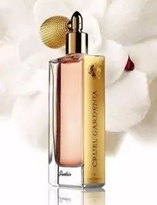 梔子花|4月過半，純白季即將來襲，請你穿上“梔子花”入夢！