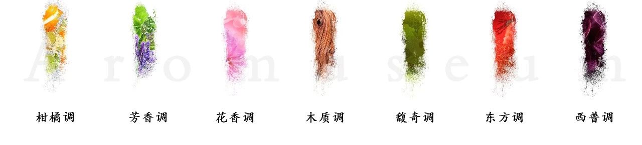 為什么有人一身果香，有人卻一身藿香？