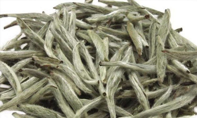 常見的香氛香型都有哪些