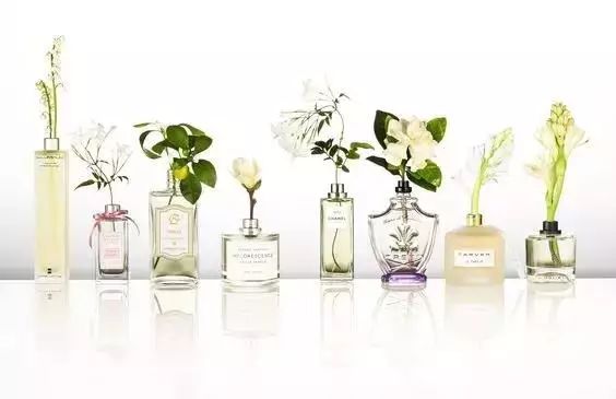 夏季酒店加香香氛的選擇 夏季酒店加香香氛的選擇