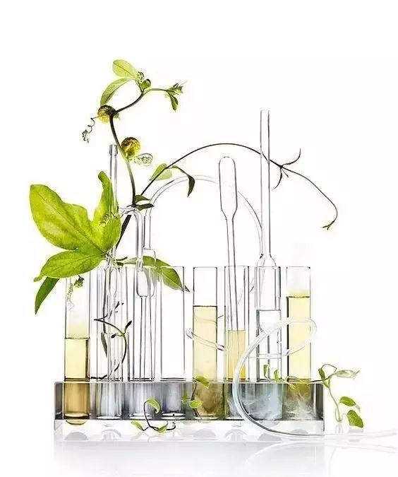 夏季酒店加香香氛的選擇 夏季酒店加香香氛的選擇