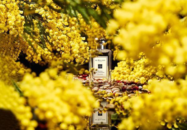 祖瑪瓏最值得買的6款香水！香水界白蓮花，它是初戀的味道